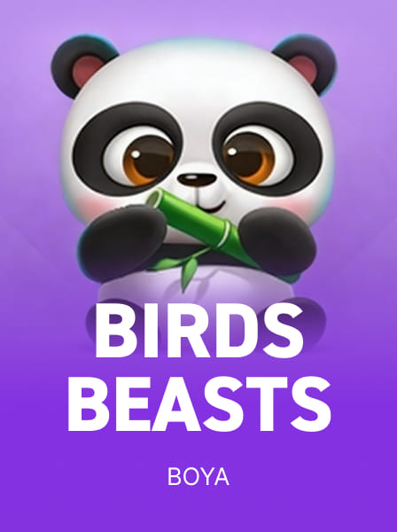 Betflix Tips